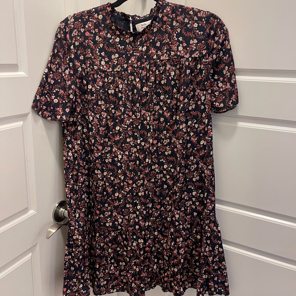 Aritzia Baby Doll Dress